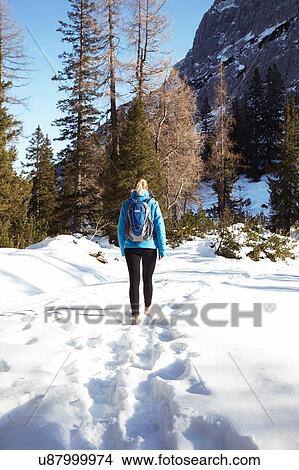 Picture - Rear view of young woman hiking through mountain snow, Austria. Fotosearch