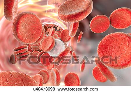 Red and white blood cells, illustration View Large Illustration Stock Illustration - Red and white blood cells, illustration. Fotosearch