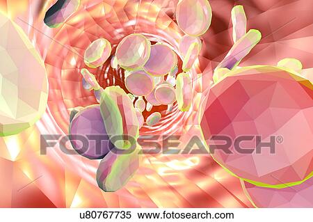 Stock Illustration - Red blood cells, illustration. Fotosearch