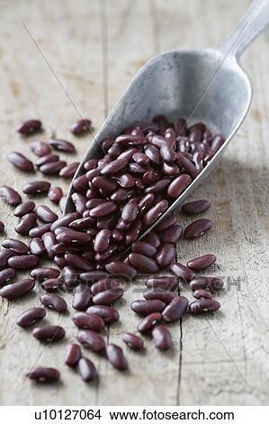 Red Kidney beans View Large Photo Image Picture - Red Kidney beans. Fotosearch