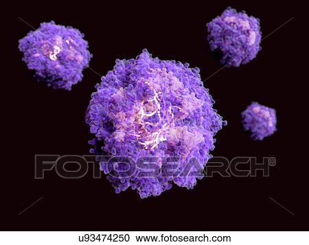 Stock Image - "RNA virus, illustration". Fotosearch