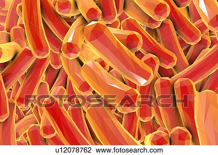 Rod-shaped bacteria, illustration View Large Illustration Drawing - Rod-shaped bacteria, illustration. Fotosearch