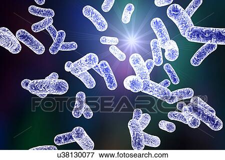 Rod-shaped bacteria, illustration View Large Illustration Stock Illustration - Rod-shaped bacteria, illustration. Fotosearch