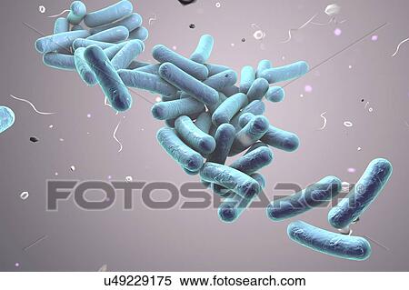 Stock Illustration - Rod-shaped bacteria, illustration. Fotosearch