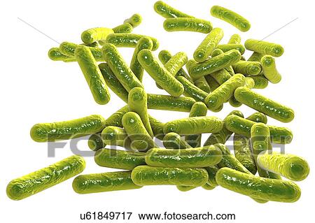 Stock Illustration - Rod-shaped bacteria, illustration. Fotosearch