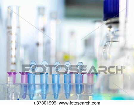 Row of eppendorf vial awaiting sample for testing in laboratory View Large Photo Image Stock Photo - Row of eppendorf vial awaiting sample for testing in laboratory. Fotosearch