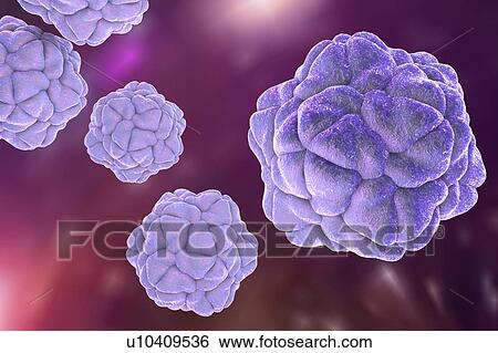 Stock Illustration - Satellite necrosis virus, illustration. Fotosearch