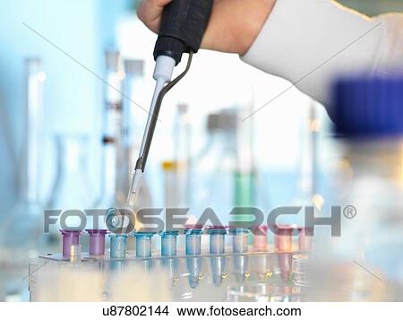 Scientist pipetting sample into eppendorf vial during experiment in laboratory View Large Photo Image Picture - Scientist pipetting sample into eppendorf vial during experiment in laboratory. Fotosearch
