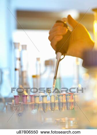 Scientist pipetting sample into eppendorf vial during experiment in laboratory View Large Photo Image Stock Image - Scientist pipetting sample into eppendorf vial during experiment in laboratory. Fotosearch