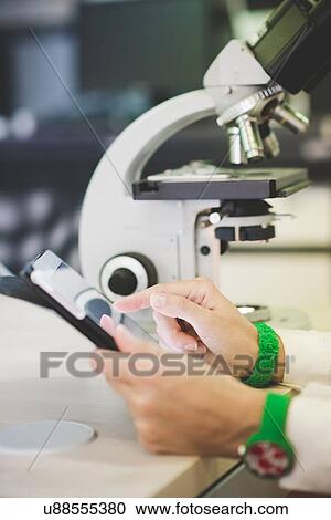 Stock Image - Scientist using digital tablet and optical microscope. Fotosearch