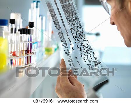Stock Image - Scientist viewing a DNA sequence gel to understand the genetic information of a human in a laboratory. Fotosearch