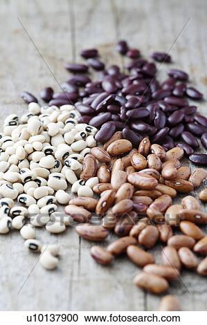 Selection of dried beans View Large Photo Image Stock Image - Selection of dried beans. Fotosearch