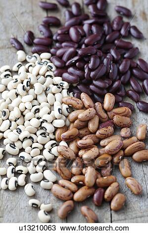 Selection of dried beans View Large Photo Image Stock Image - Selection of dried beans. Fotosearch