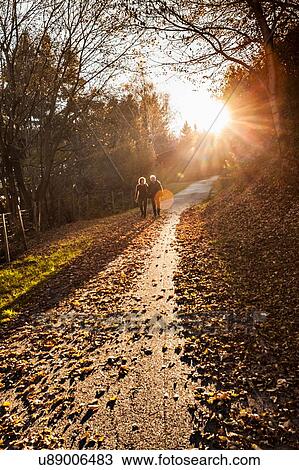 Senior couple strolling along sunlit forest road in aurumn, Lombardy, Italy View Large Photo Image Stock Image - Senior couple strolling along sunlit forest road in aurumn, Lombardy, Italy. Fotosearch