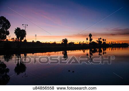 "Silhouettes of palm trees at sunset, San Diego, California, USA" View Large Photo Image Stock Photo - "Silhouettes of palm trees at sunset, San Diego, California, USA". Fotosearch