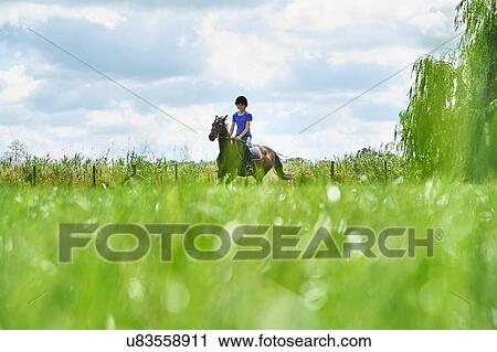 Surface level view of girl horse riding in field View Large Photo Image Stock Image - Surface level view of girl horse riding in field. Fotosearch