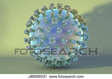 Clip Art - Swine flu virus H1N1, illustration. Fotosearch
