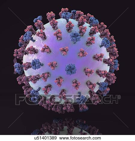 Stock Illustration - Swine flu virus H1N1, illustration. Fotosearch