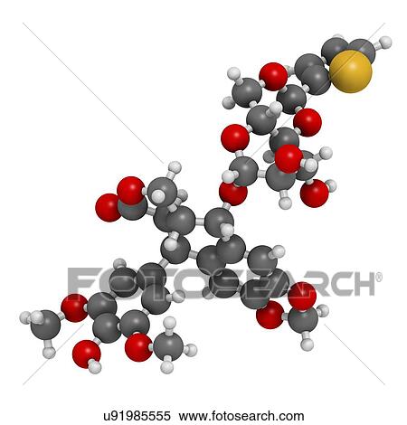 Teniposide cancer drug molecule View Large Photo Image Stock Photography - Teniposide cancer drug molecule. Fotosearch