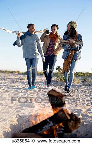 "Three friends on beach, gathering drift wood for camp fire" View Large Photo Image Stock Image - "Three friends on beach, gathering drift wood for camp fire". Fotosearch