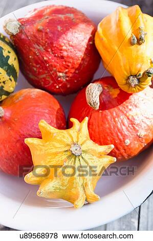 Various squash vegetables in dish View Large Photo Image Stock Photo - Various squash vegetables in dish. Fotosearch