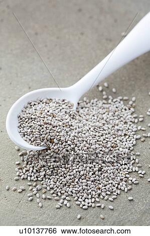 White Chia seeds View Large Photo Image Stock Photograph - White Chia seeds. Fotosearch