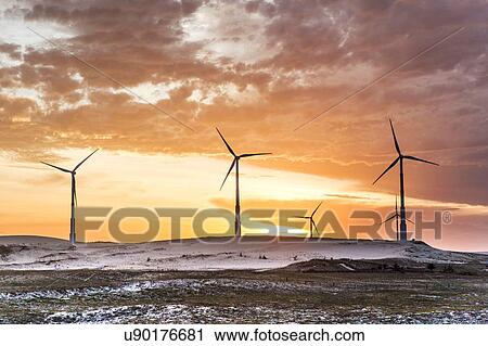Wind turbines at sunset, Taiba, Ceara, Brazil View Large Photo Image Stock Image - Wind turbines at sunset, Taiba, Ceara, Brazil. Fotosearch
