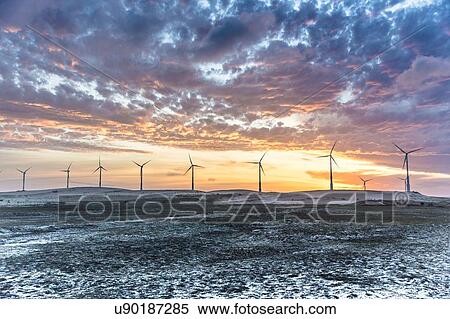 Wind turbines at sunset, Taiba, Ceara, Brazil View Large Photo Image Stock Photography - Wind turbines at sunset, Taiba, Ceara, Brazil. Fotosearch