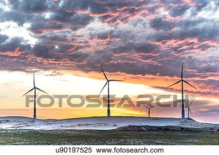 Stock Photography - Wind turbines at sunset, Taiba, Ceara, Brazil. Fotosearch
