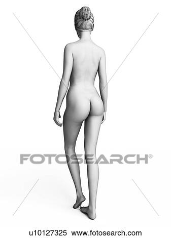 Stock Illustration - Woman standing, illustration. Fotosearch