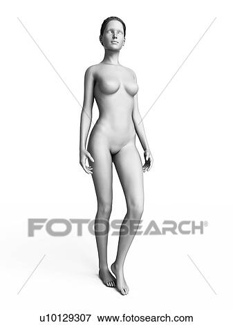 Woman standing, illustration View Large Illustration Stock Illustration - Woman standing, illustration. Fotosearch