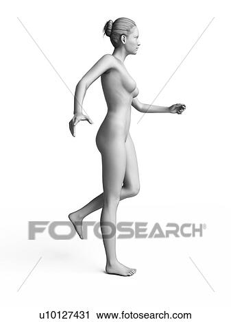 Clip Art - Woman walking, illustration. Fotosearch