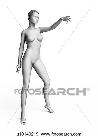 Stock Illustration - Woman with arm out, illustration. Fotosearch