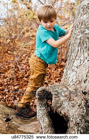 "Young boy in forest, climbing tree" View Large Photo Image Stock Photography - "Young boy in forest, climbing tree". Fotosearch