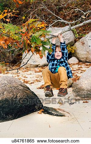 Young boy swinging on tree branch View Large Photo Image Stock Photography - Young boy swinging on tree branch. Fotosearch