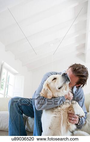 Young man on living room sofa hugging golden retriever dog View Large Photo Image Stock Image - Young man on living room sofa hugging golden retriever dog. Fotosearch