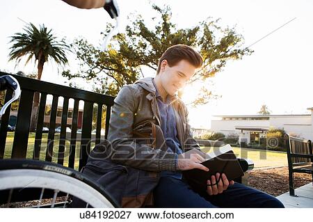 Stock Photo - Young man reading book on sunlit park bench. Fotosearch