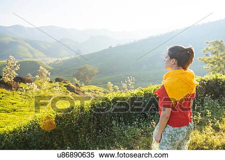 Young woman looking out at tea plantations near Munnar, Kerala, India View Large Photo Image Stock Photography - Young woman looking out at tea plantations near Munnar, Kerala, India. Fotosearch