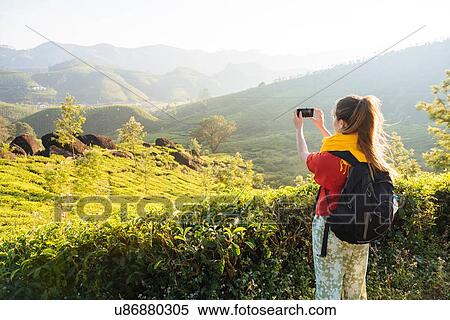 Stock Photography - Young woman photographing tea plantations near Munnar, Kerala, India. Fotosearch