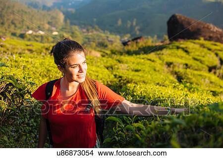 Picture - Young woman touching tea plants in tea plantations near Munnar, Kerala, India. Fotosearch