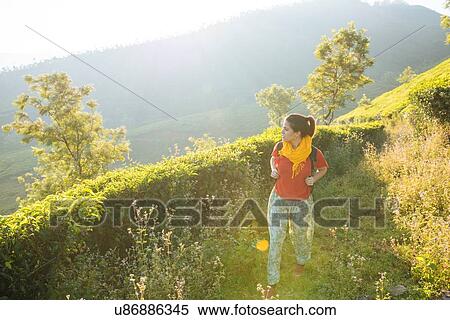 Young woman walking among tea plantations near Munnar, Kerala, India View Large Photo Image Stock Photography - Young woman walking among tea plantations near Munnar, Kerala, India. Fotosearch