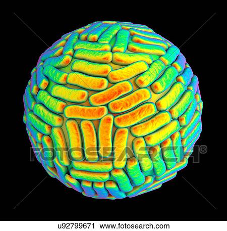 Stock Image - "Zika virus, illustration". Fotosearch