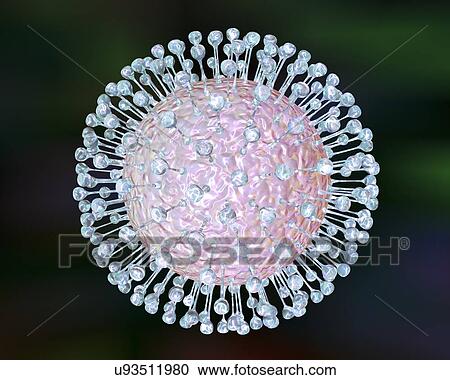 Stock Image - "Zika virus, illustration". Fotosearch