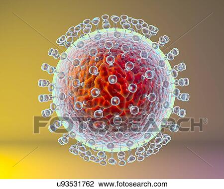 Stock Image - "Zika virus, illustration". Fotosearch