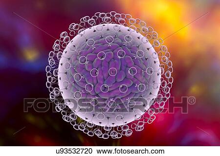 Stock Image - "Zika virus, illustration". Fotosearch