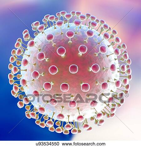 Stock Image - "Zika virus, illustration". Fotosearch
