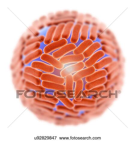 Stock Photo - "Zika virus, illustration". Fotosearch