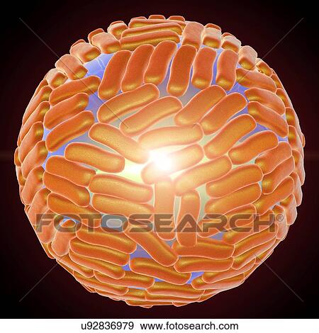 Stock Photo - "Zika virus, illustration". Fotosearch