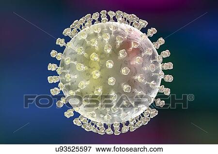 "Zika virus, illustration" View Large Photo Image Stock Photo - "Zika virus, illustration". Fotosearch
