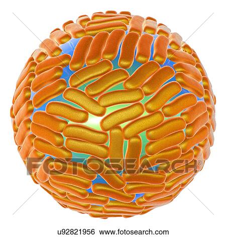 Stock Photograph - "Zika virus, illustration". Fotosearch